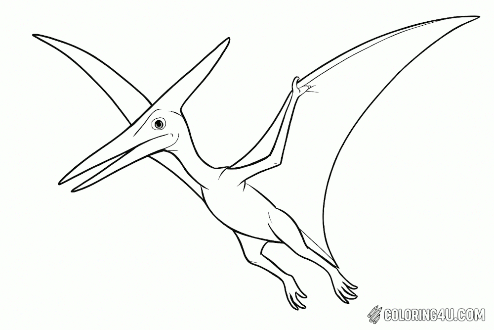 Pteranodon Diagonal Pose