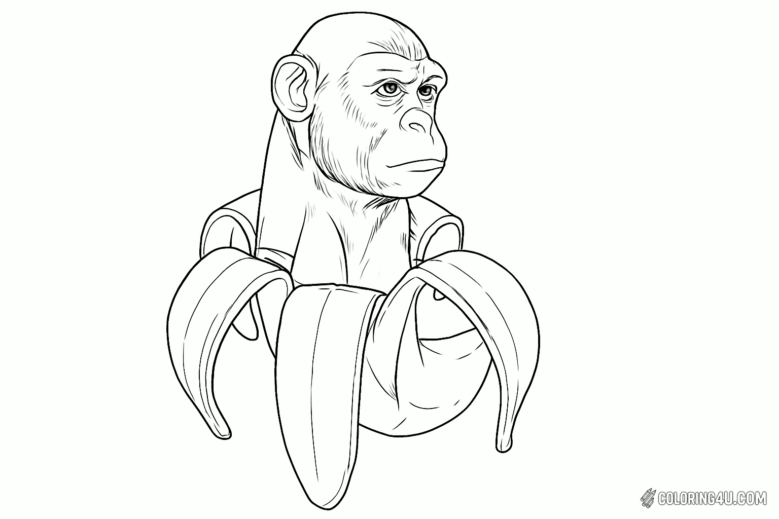 Chimpanzini Bananini